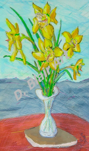 daffodils